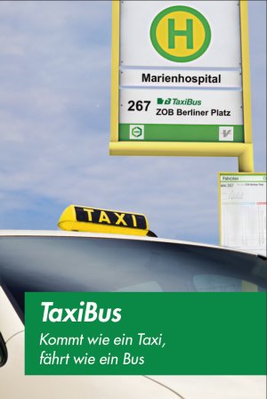 TaxiBus Flyer